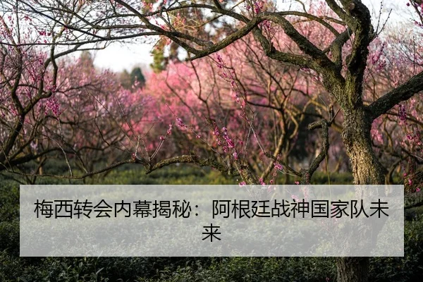 梅西转会内幕揭秘：阿根廷战神国家队未来